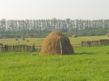 Стога. с. Новые Татышлы. Республика Башкортостан. Фото К.И.Куликова.