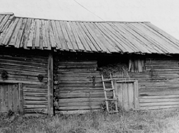 Хлев в усадьбе А.А.Волковой. Строение 1930 г. УАССР, Глазовский р-н, д. Коротай. 1987 г.