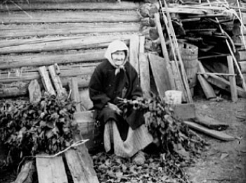 Старушка вяжет веники. ВАО, Малопургинский р-н, д. Нижние Юри, 1930 г.