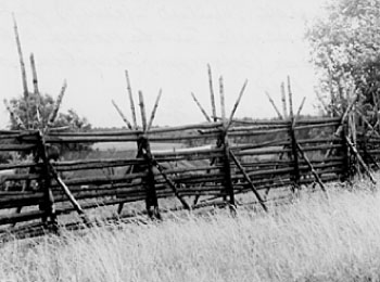 Изгородь «прясло» для огорода. УАССР, Глазовский р-н, д. Зоронгурт, 1987 г.