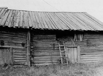 Хлев в усадьбе А.А.Волковой. Строение 1930 г. УАССР, Глазовский р-н, д. Коротай. 1987 г.