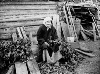 Старушка вяжет веники. ВАО, Малопургинский р-н, д. Нижние Юри, 1930 г.