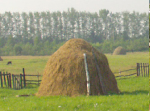 Аграрные культы
